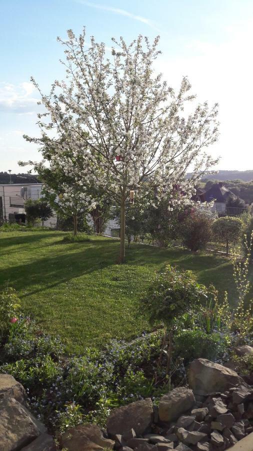 Ferienwohnung Sayntalblick Caan Exterior photo